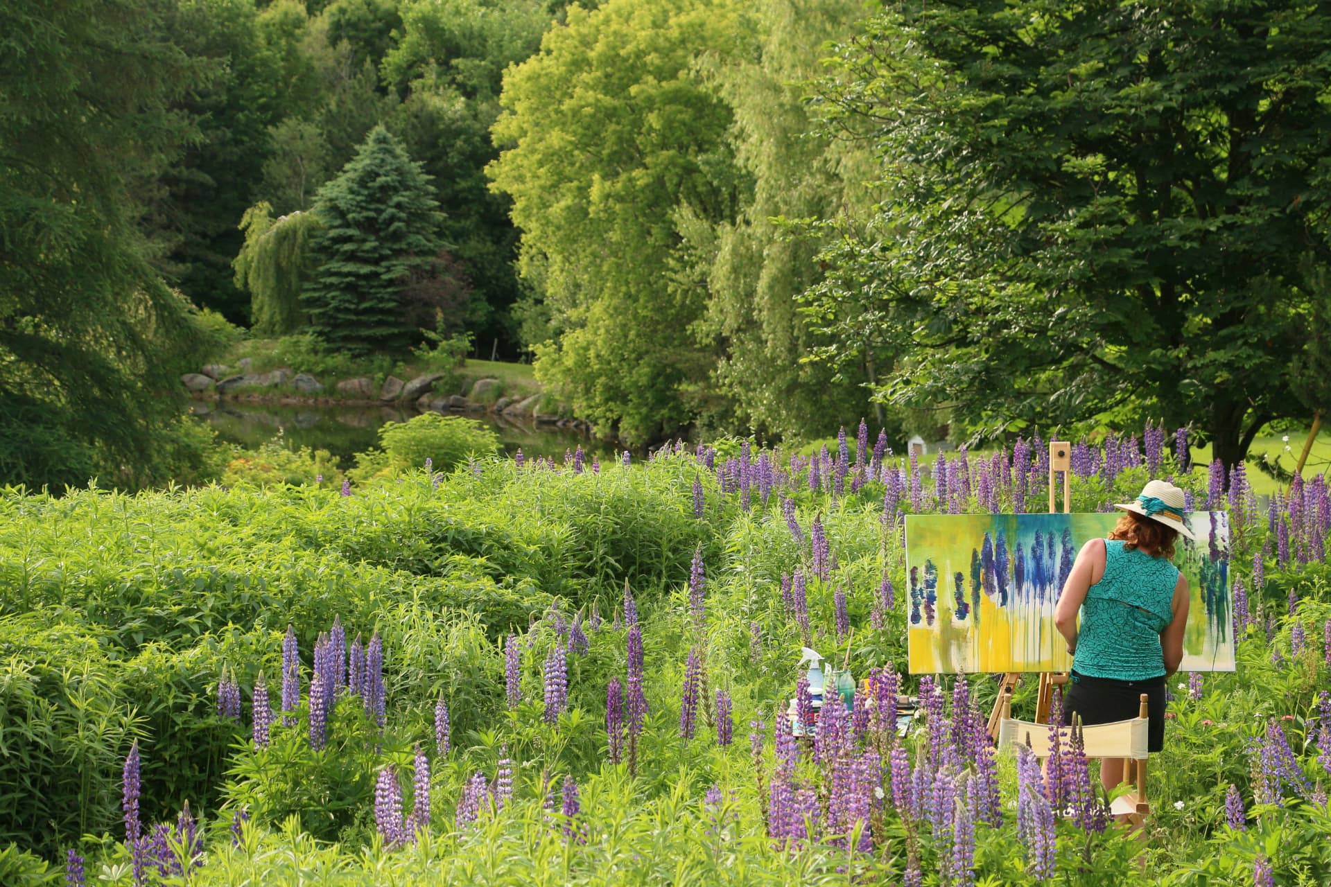 Série lupins — le champ, l'étang et la forêt