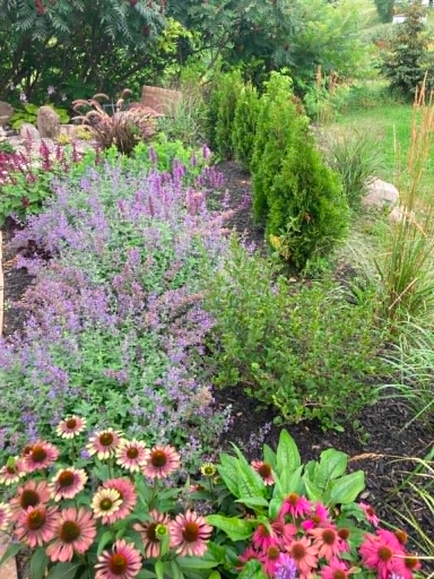Jardin de résidence fleuri