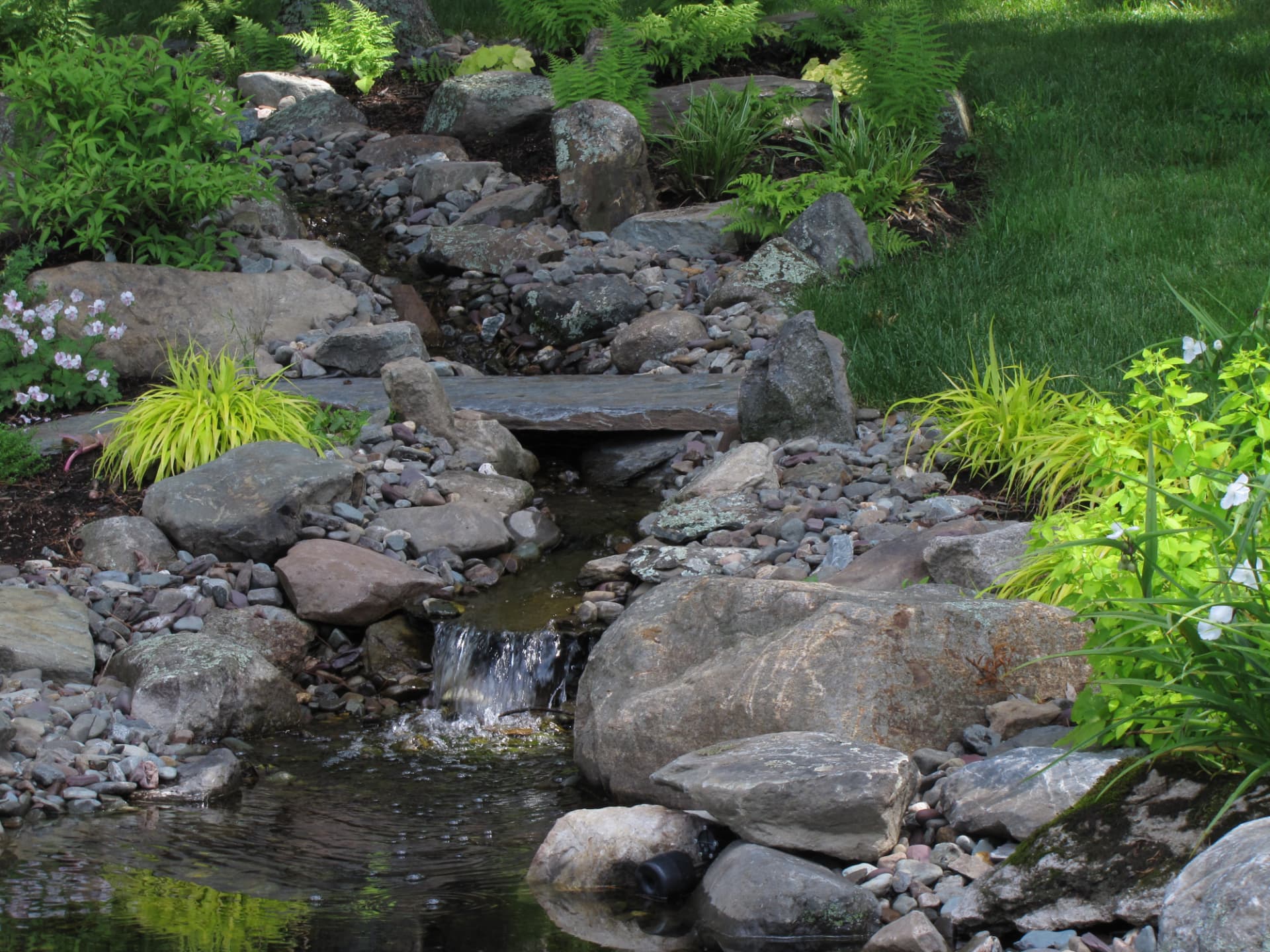 Ruisseau et petite cascade