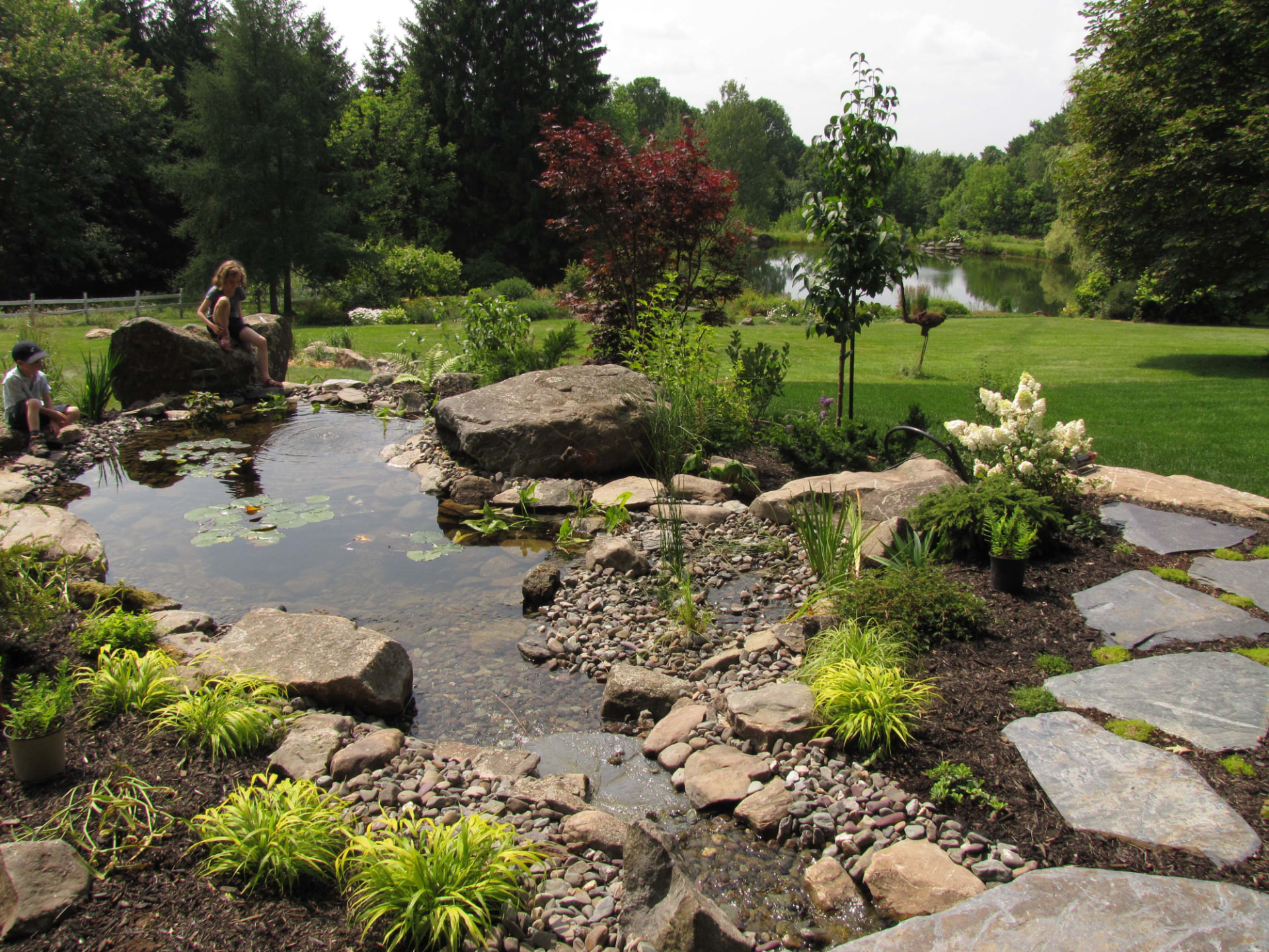 Bassin de jardin habité
