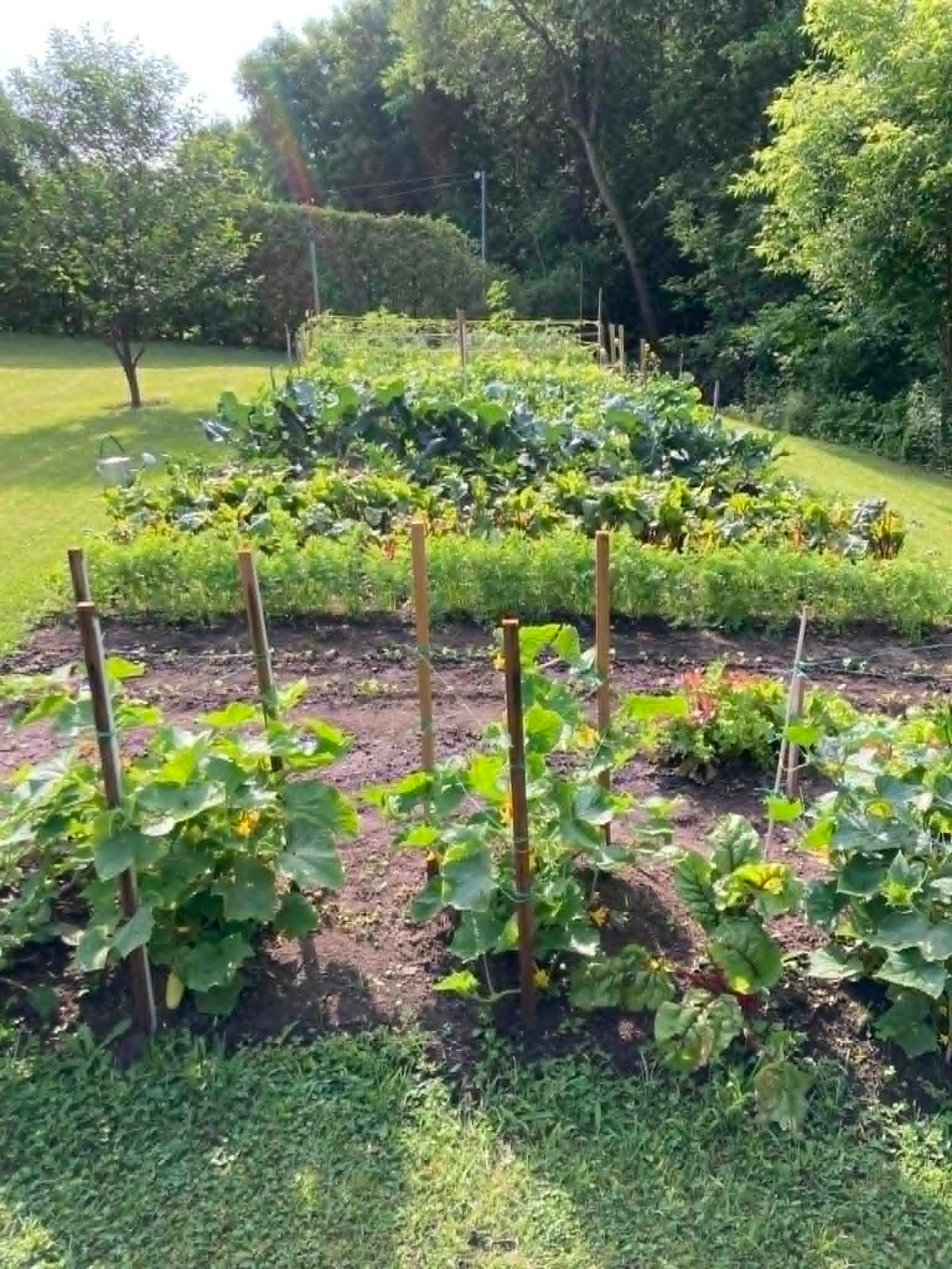 Jardin nourricier