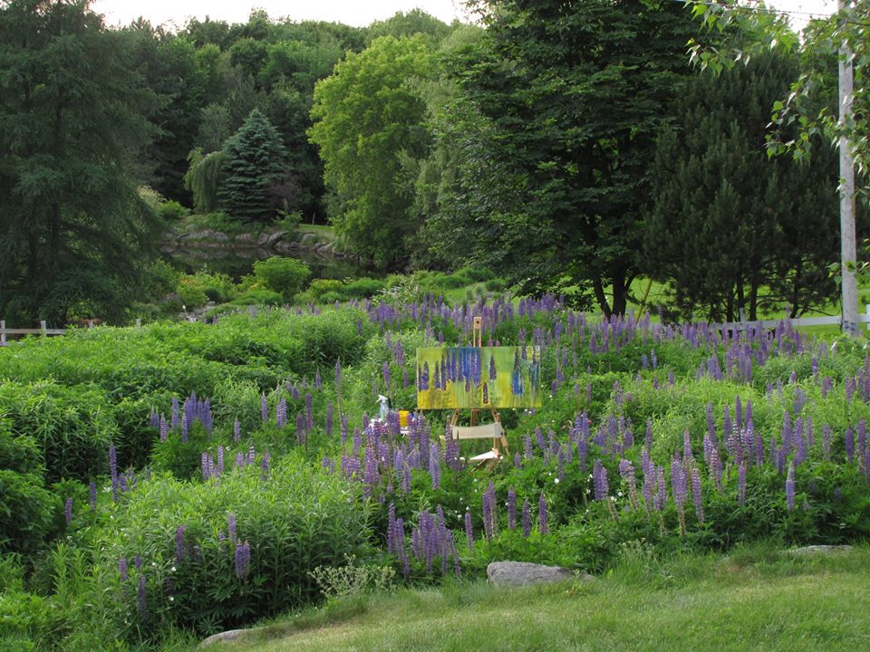 Série lupins — le chevalet au milieu du jardin