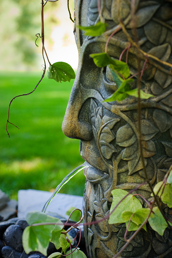 Fontaine visage et lierre