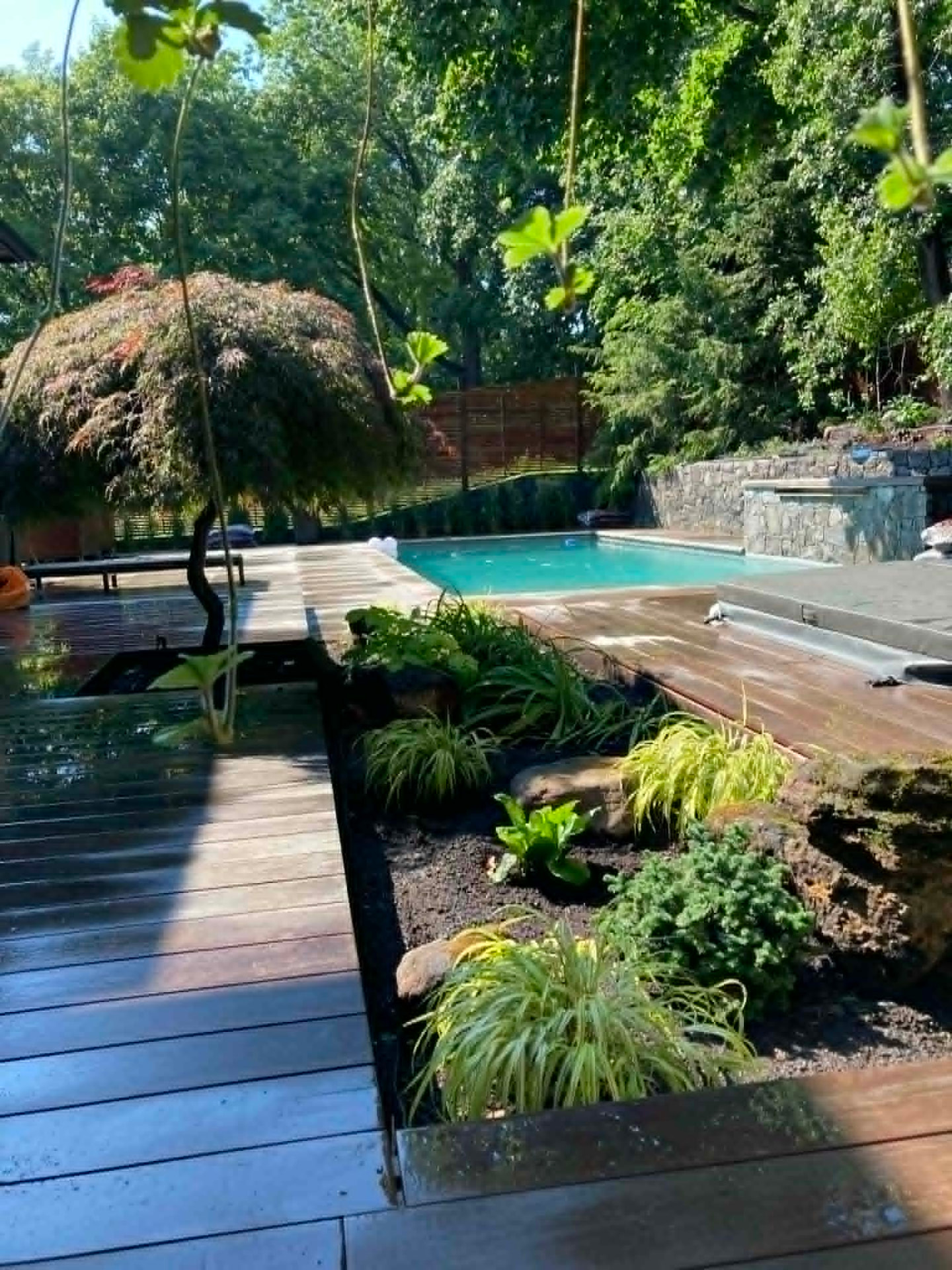 Piscine et jardin zen